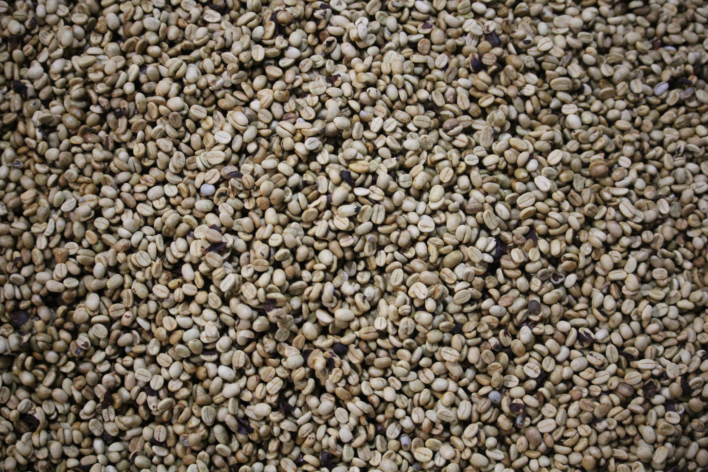 George Howell Coffee