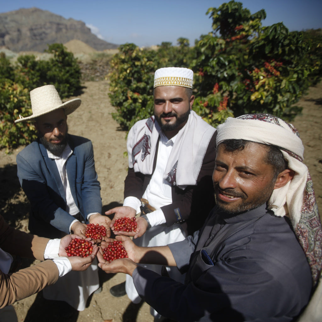 Wadi Al-Sail Z110, Yemen
