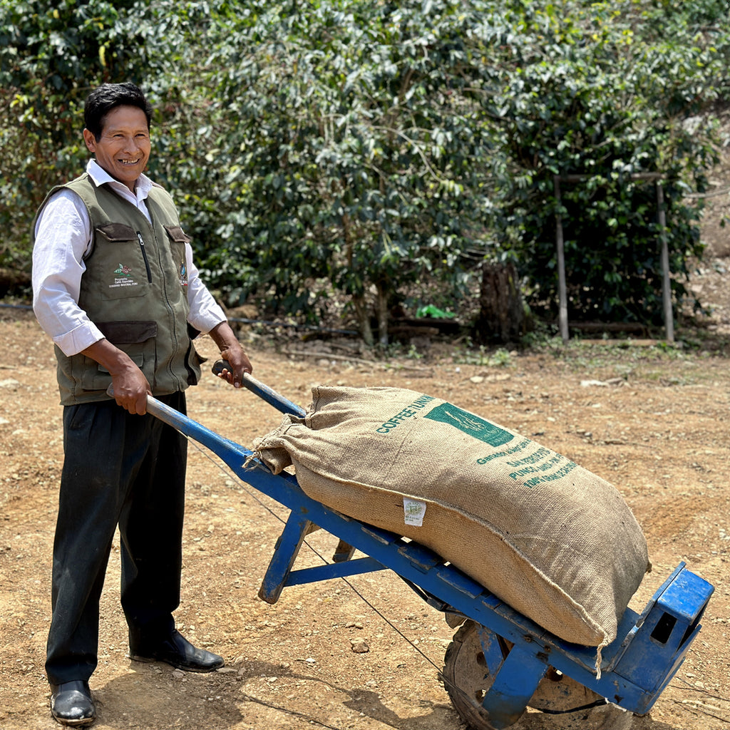 Alto Lagunillas, Peru