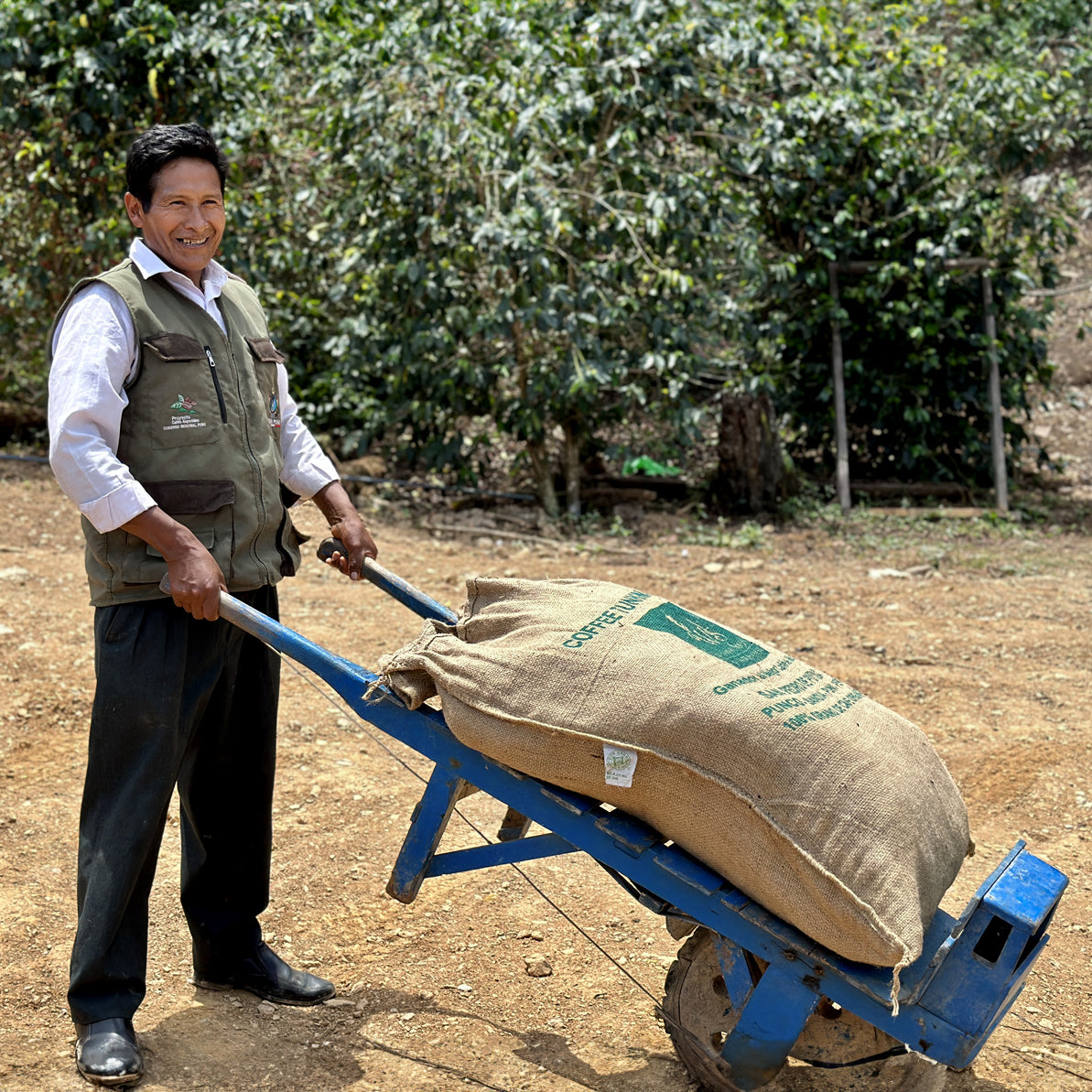 Alto Lagunillas, Peru