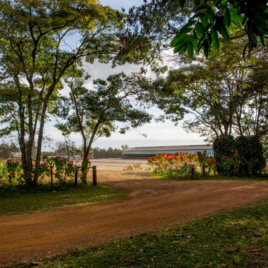 Daterra Sundrop, Brazil