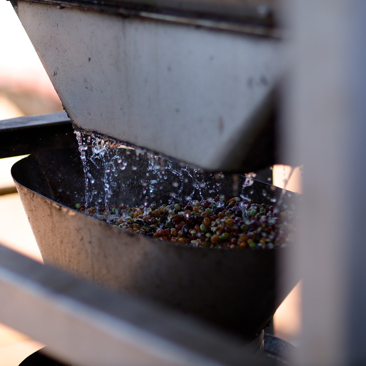 Daterra Sundrop, Brazil