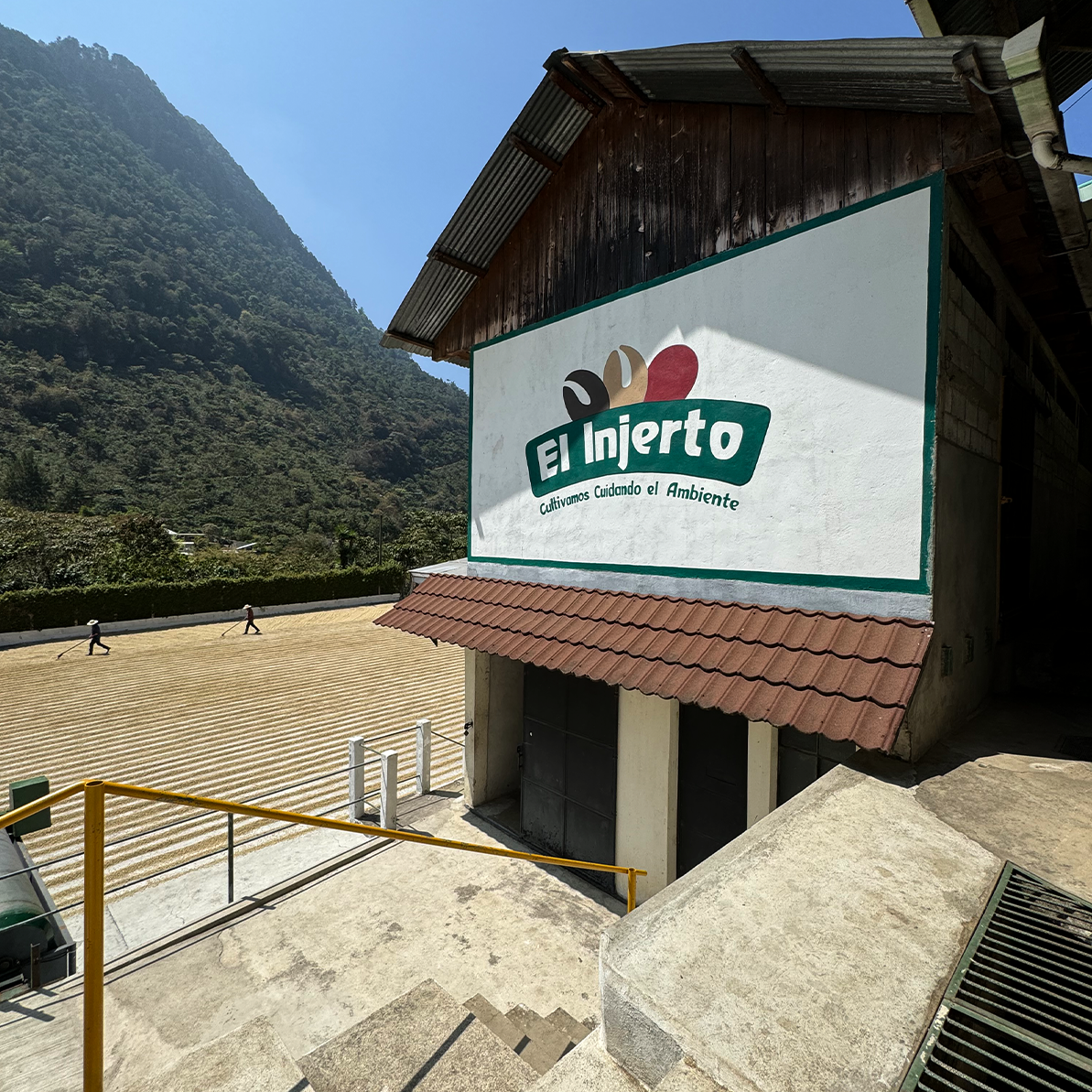 El Injerto La Calaca, Guatemala