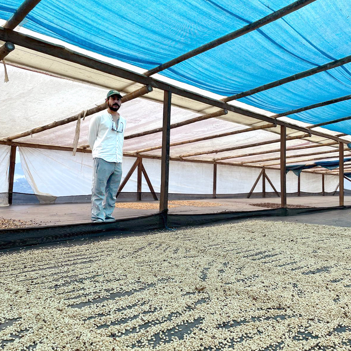 El Meson Summer Harvest, Colombia