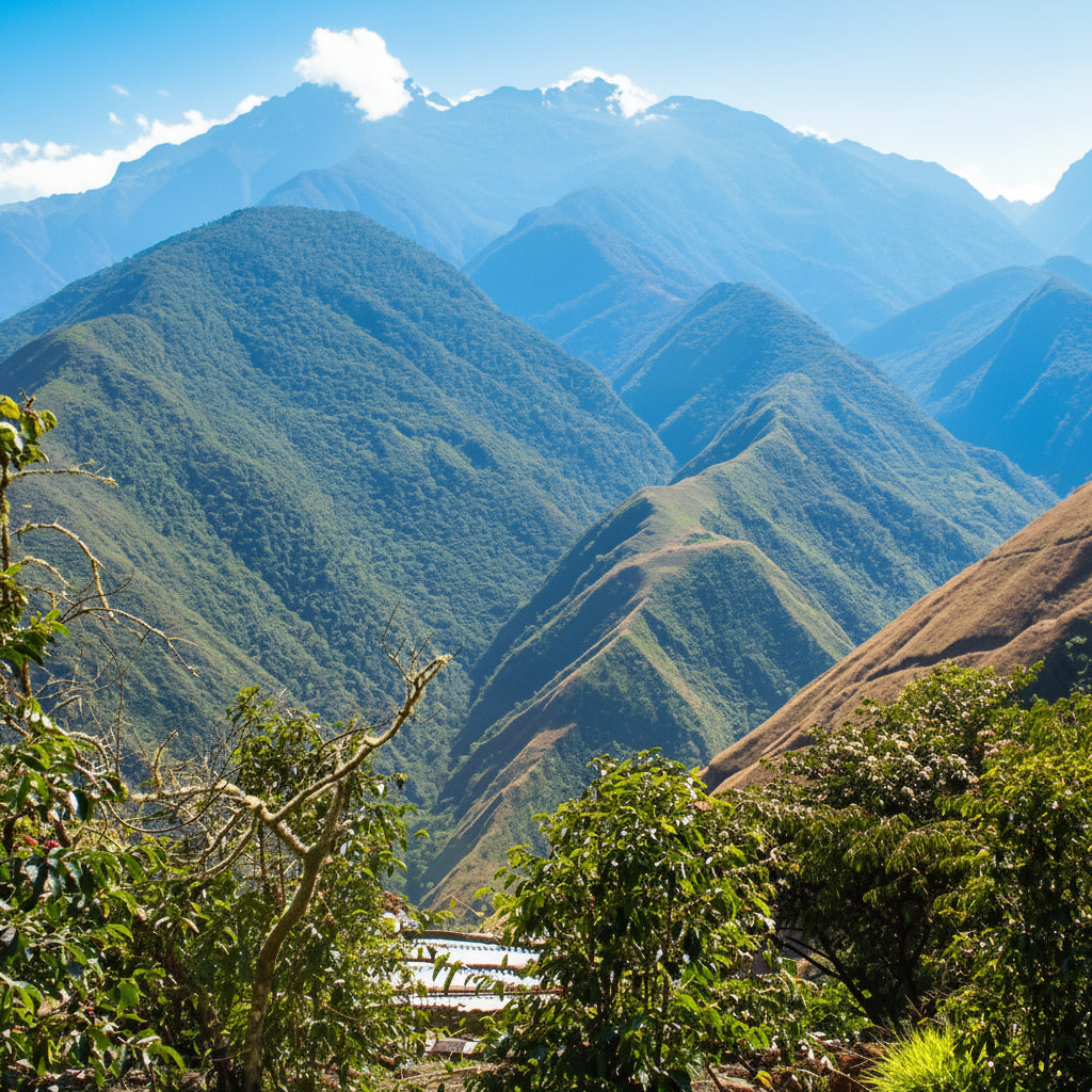 Llaqta Pata, Peru