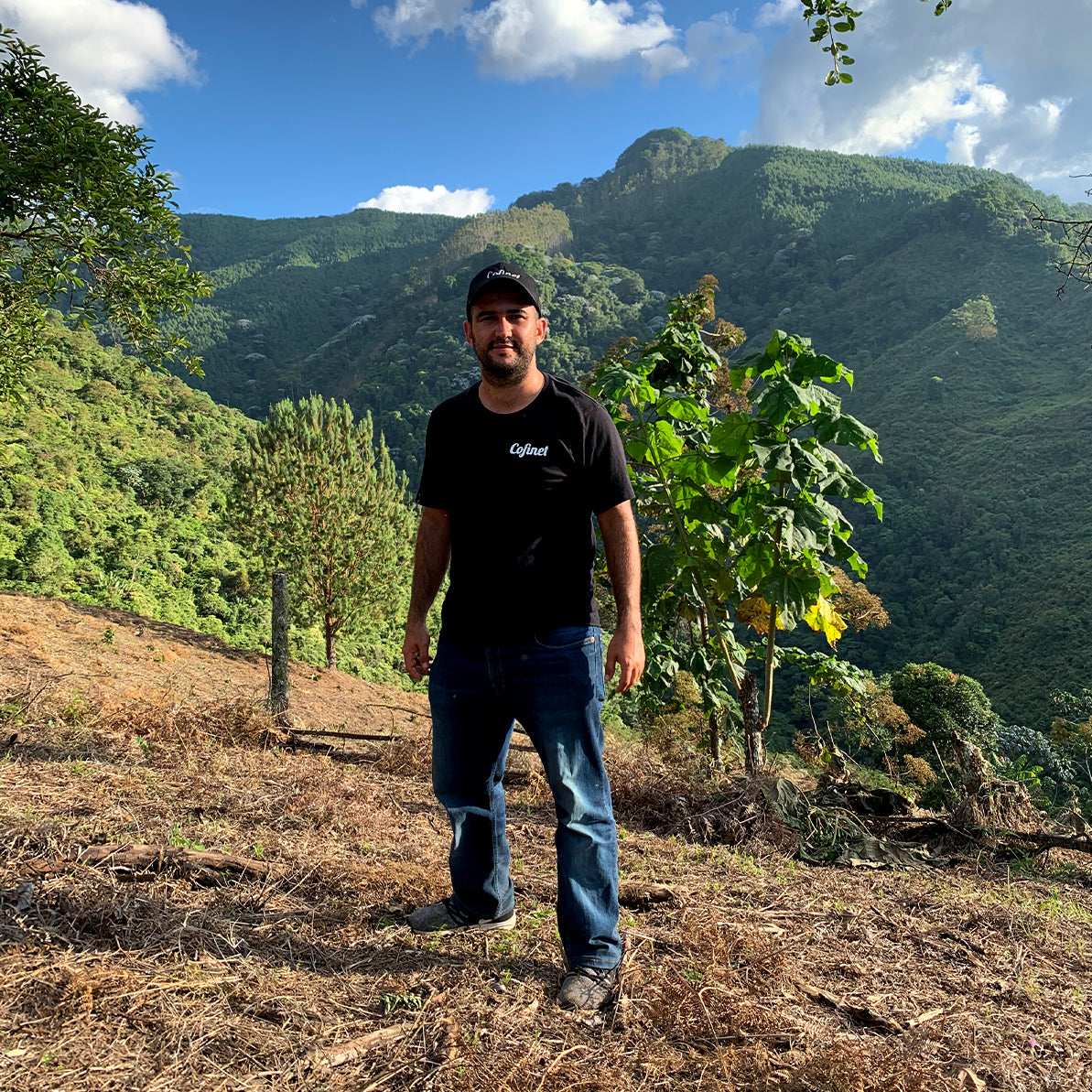Jardines del Eden Red Sidra, Colombia