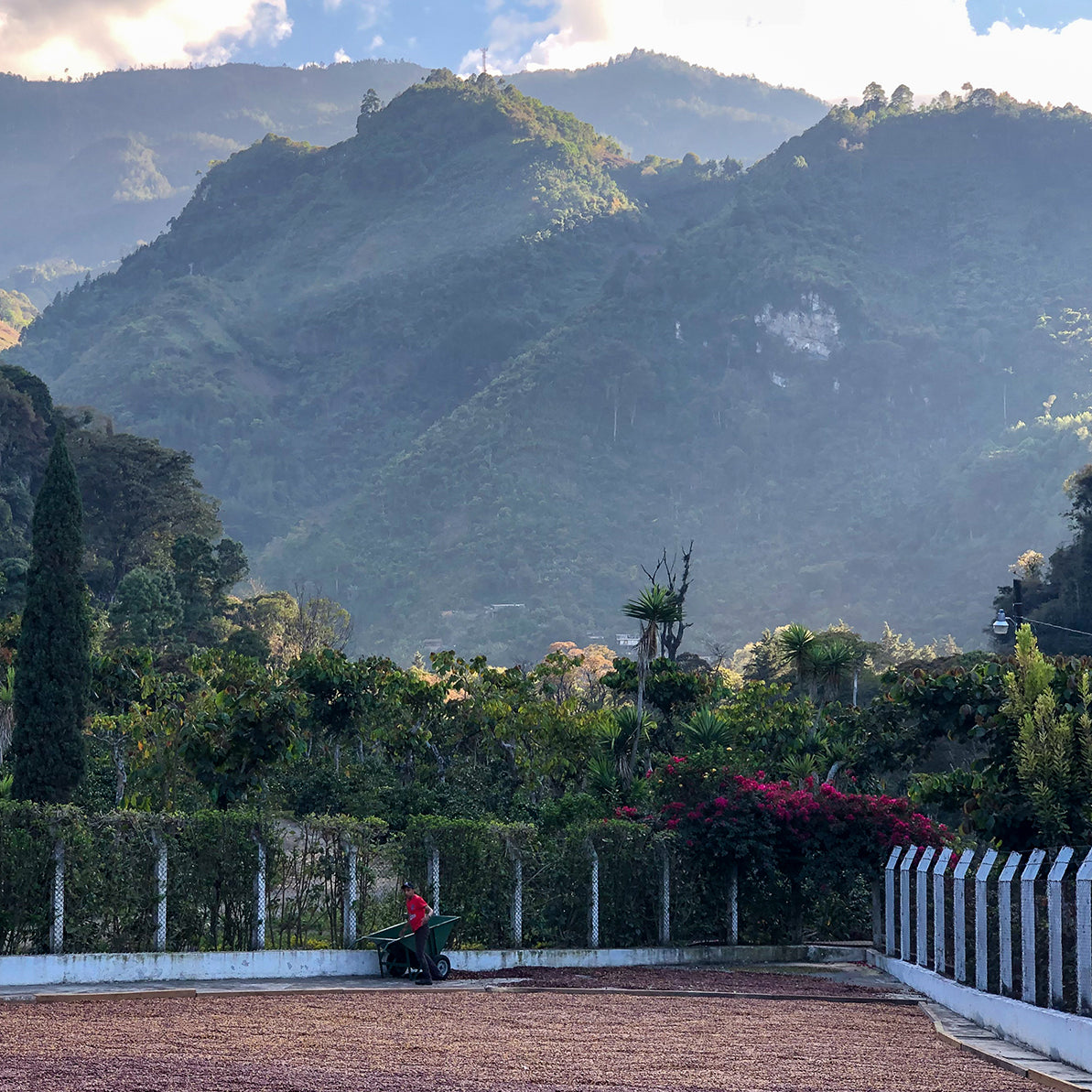 Las Palomas Medium, Guatemala