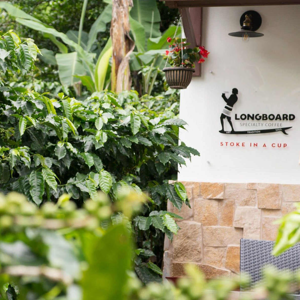 Longboard Misty Mountain, Panama