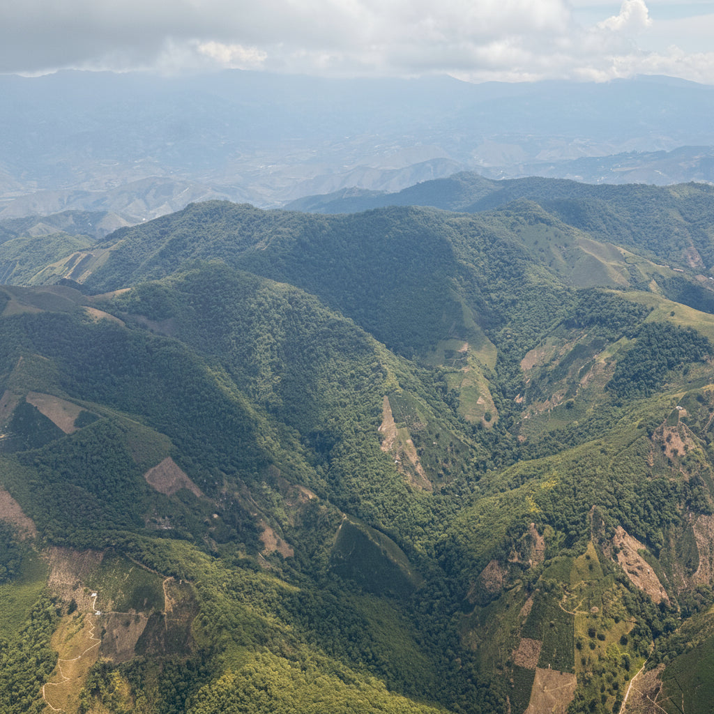 El Progreso, Colombia
