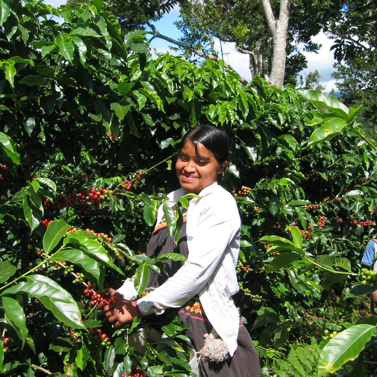 La Esmeralda Tumaco, Panama