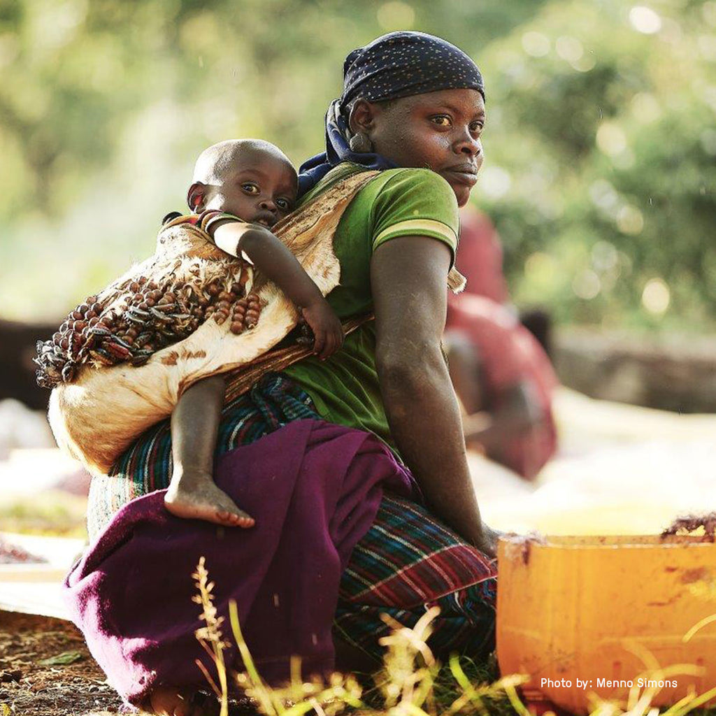 Gesha Village Estate Lot 109, Ethiopia