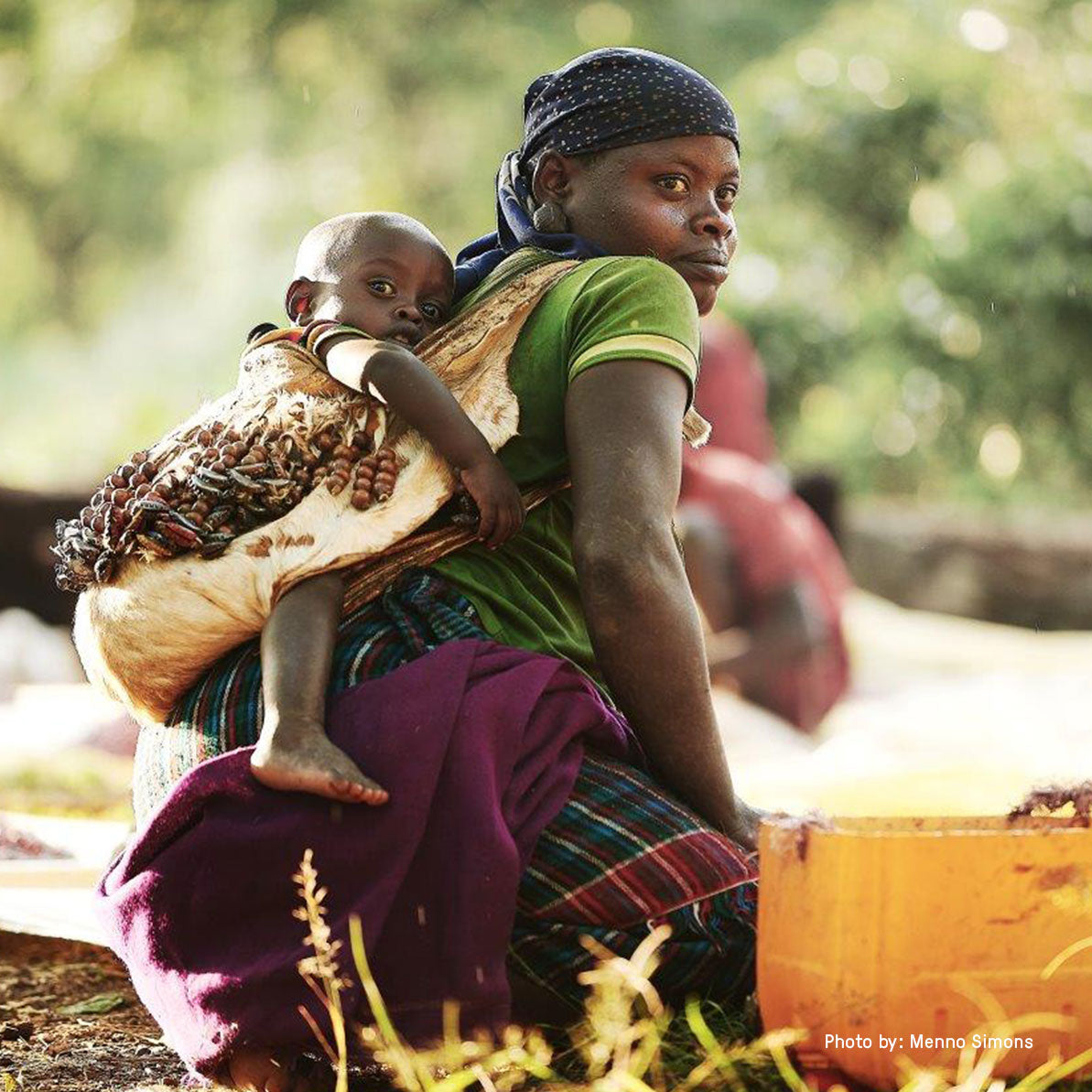 Gesha Village Estate Lot 109, Ethiopia