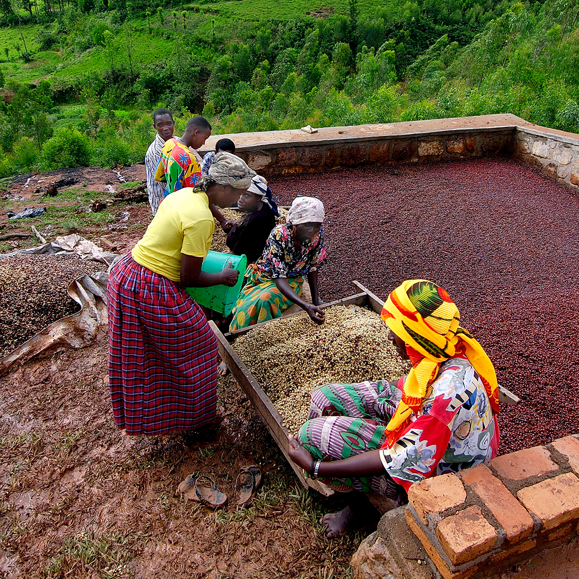 Kanzu Medium, Rwanda