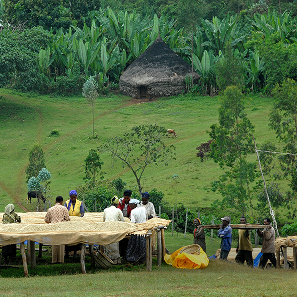 Odako Village, Ethiopia